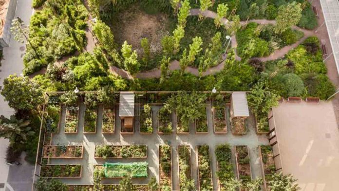 Huerto del Clot: un espacio comunitario y educativo para la sostenibilidad en Barcelona