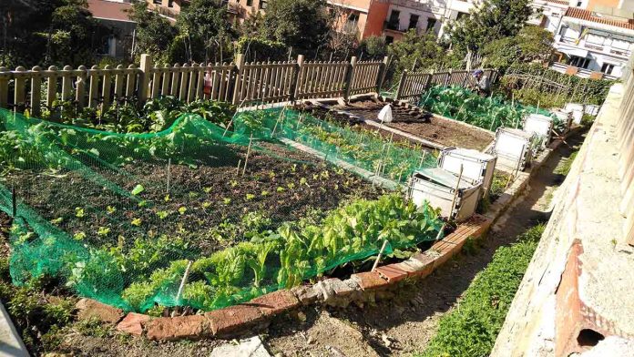 Huerto Urbano de l'Avi: pionero en agricultura comunitaria y educación ambiental en Barcelona