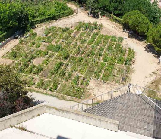 Huerto Urbano de la Font Trobada: cultivo comunitario y participación vecinal en Poble-sec Huerto Urbano de la Font Trobada: cultivo comunitario y participación vecinal en Poble-sec