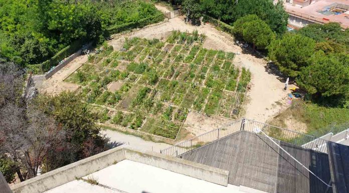 Huerto Urbano de la Font Trobada: cultivo comunitario y participación vecinal en Poble-sec Huerto Urbano de la Font Trobada: cultivo comunitario y participación vecinal en Poble-sec