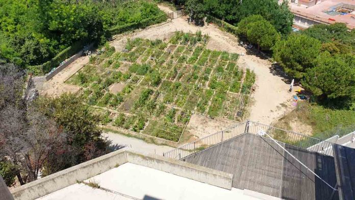 Huerto Urbano de la Font Trobada: cultivo comunitario y participación vecinal en Poble-sec