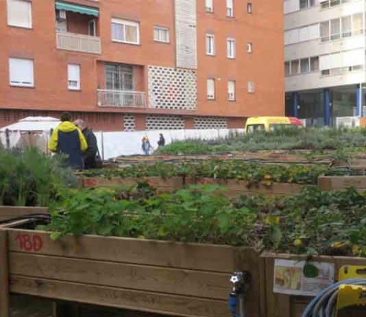 Huerto de Queni: un espacio inclusivo y sensorial en Barcelona Huerto de Queni: un espacio inclusivo y sensorial en Barcelona