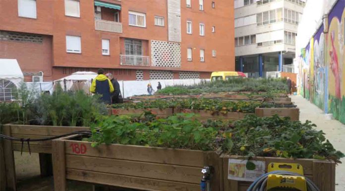 Huerto de Queni: un espacio inclusivo y sensorial en Barcelona Huerto de Queni: un espacio inclusivo y sensorial en Barcelona