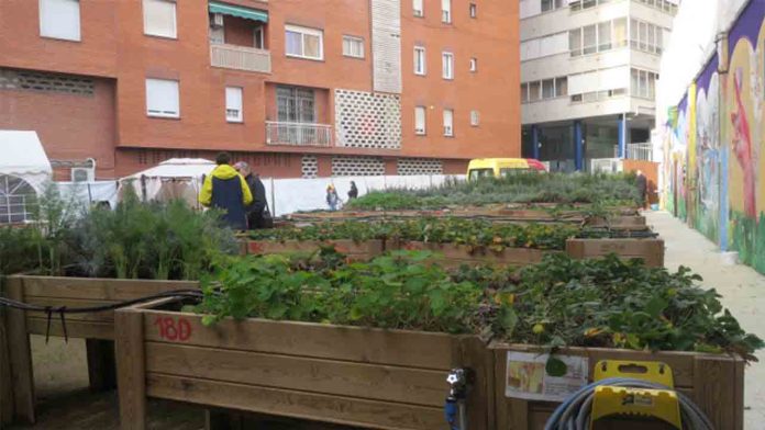 Huerto de Queni: un espacio inclusivo y sensorial en Barcelona