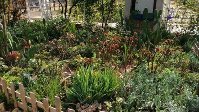 Huerto de la Font de la Guatlla: agricultura comunitaria y sostenibilidad en Barcelona