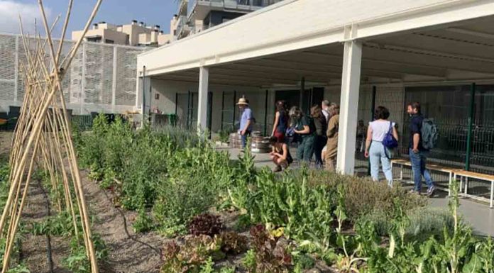 Huerto del Mercat: sostenibilidad y comunidad en Horta-Guinardó Huerto del Mercat: sostenibilidad y comunidad en Horta-Guinardó