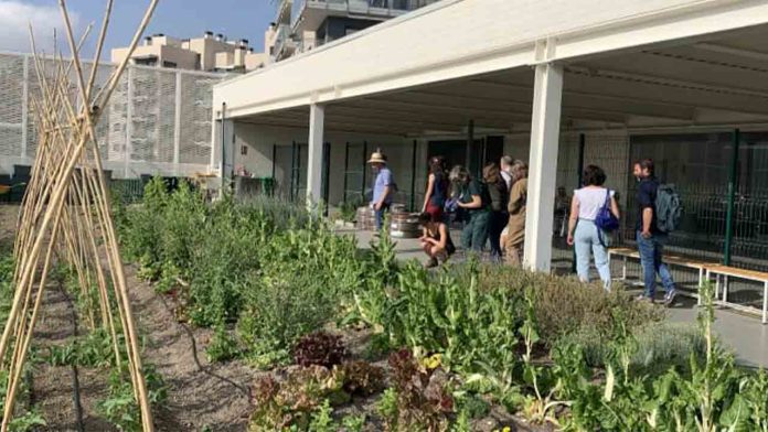 Huerto del Mercat: sostenibilidad y comunidad en Horta-Guinardó