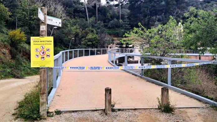 Más señalización en Collserola tras el cierre total por la peste porcina africana Más señalización en Collserola tras el cierre total por la peste porcina africana