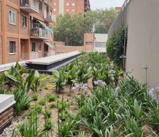 Nuevas cubiertas verdes en guarderías para mejorar el entorno urbano Nuevas cubiertas verdes en guarderías para mejorar el entorno urbano