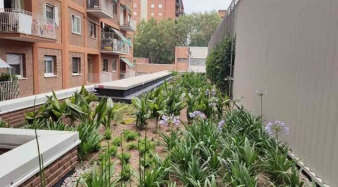 Nuevas cubiertas verdes en guarderías para mejorar el entorno urbano Nuevas cubiertas verdes en guarderías para mejorar el entorno urbano