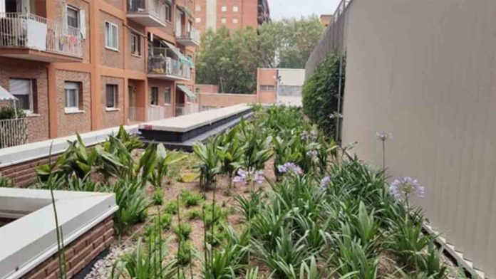 Nuevas cubiertas verdes en guarderías para mejorar el entorno urbano