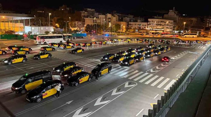 La nueva Ley del Transporte hará que se revaloricen las licencias de taxi La nueva Ley del Transporte hará que se revaloricen las licencias de taxi