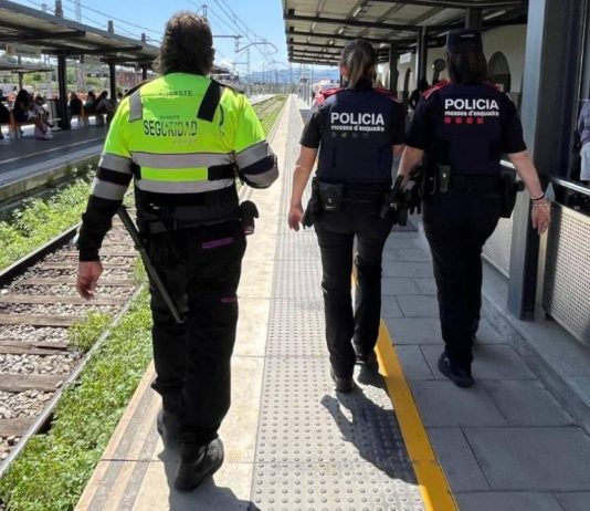 10 grafiteros detenidos y 115 delitos resueltos por daños a trenes 10 grafiteros detenidos y 115 delitos resueltos por daños a trenes