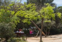 Barcelona aprueba la renovación del Parque del Castell de l’Oreneta Barcelona aprueba la renovación del Parque del Castell de l’Oreneta