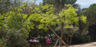 Barcelona aprueba la renovación del Parque del Castell de l’Oreneta Barcelona aprueba la renovación del Parque del Castell de l’Oreneta