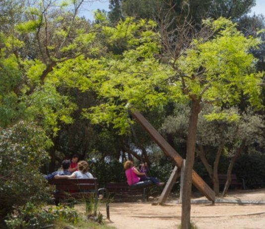 Barcelona aprueba la renovación del Parque del Castell de l’Oreneta Barcelona aprueba la renovación del Parque del Castell de l’Oreneta