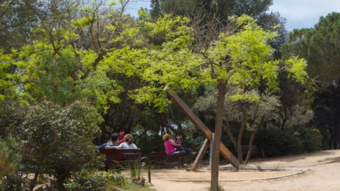 Barcelona aprueba la renovación del Parque del Castell de l’Oreneta