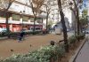Barcelona transformará la plaza Adrià en un espacio peatonal y más verde Barcelona transformará la plaza Adrià en un espacio peatonal y más verde