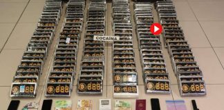 Desarticulada una red que introducía cocaína de Brasil en el aeropuerto de El Prat Desarticulada una red que introducía cocaína de Brasil en el aeropuerto de El Prat