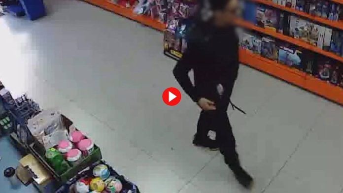 Detenido en Barcelona un ladrón que robaba LEGO para revenderlo por internet