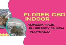 KEMA impulsa una selección de flores CBD centrada en aroma y calidad KEMA impulsa una selección de flores CBD centrada en aroma y calidad