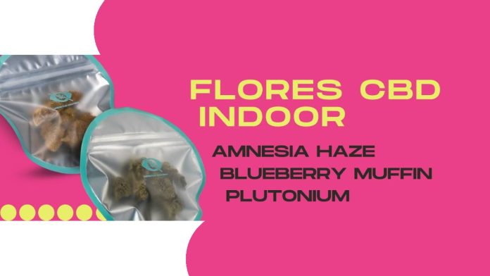 KEMA impulsa una selección de flores CBD centrada en aroma y calidad