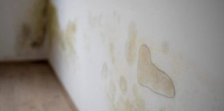 Humedades en viviendas: cómo prevenir daños Humedades en viviendas: cómo prevenir daños