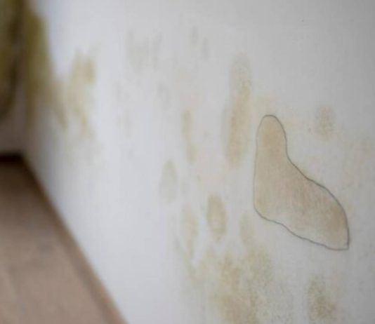 Humedades en viviendas: cómo prevenir daños Humedades en viviendas: cómo prevenir daños