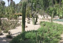 Ingreso en prisión para el acusado de la agresión sexual en Montjuïc Jardines de Mossèn Costa i Llobera