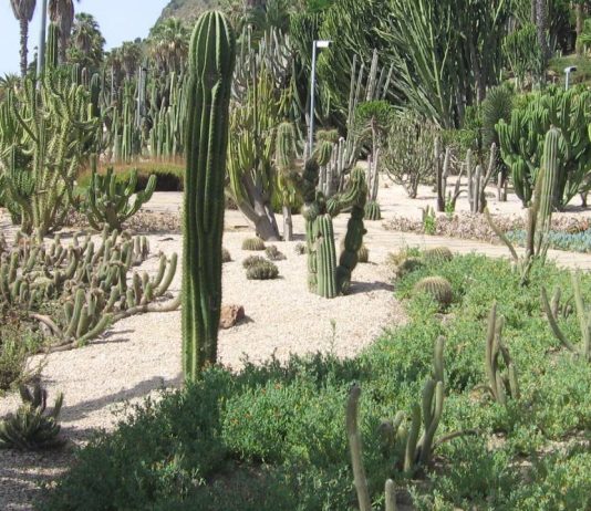 Ingreso en prisión para el acusado de la agresión sexual en Montjuïc Jardines de Mossèn Costa i Llobera
