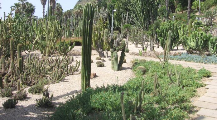 Ingreso en prisión para el acusado de la agresión sexual en Montjuïc Jardines de Mossèn Costa i Llobera
