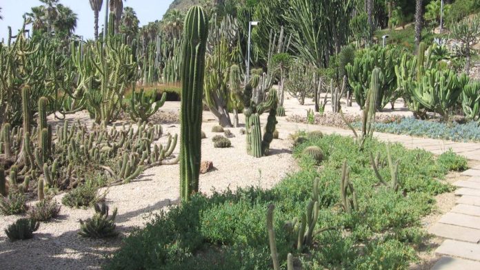 Jardines de Mossèn Costa i Llobera