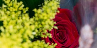 La Casa de la Arquitectura celebra Sant Jordi con una jornada familiar La Casa de la Arquitectura celebra Sant Jordi con una jornada familiar