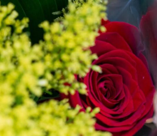 La Casa de la Arquitectura celebra Sant Jordi con una jornada familiar La Casa de la Arquitectura celebra Sant Jordi con una jornada familiar