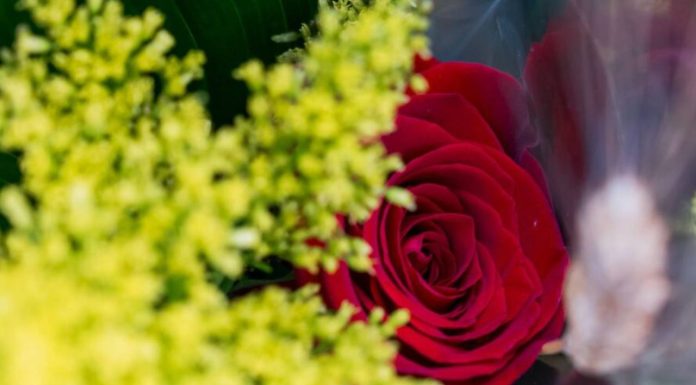 La Casa de la Arquitectura celebra Sant Jordi con una jornada familiar La Casa de la Arquitectura celebra Sant Jordi con una jornada familiar