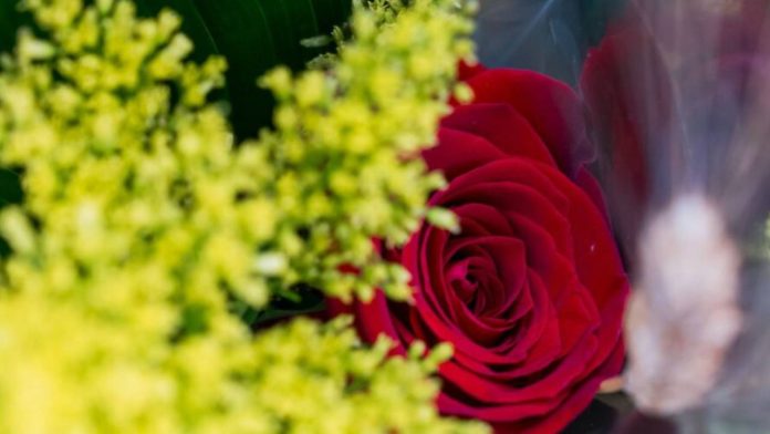 La Casa de la Arquitectura celebra Sant Jordi con una jornada familiar