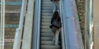 Renovación de las escaleras mecánicas de la calle Claudi Sabadell Renovación de las escaleras mecánicas de la calle Claudi Sabadell