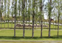 Sesión de debate para definir el futuro del Parque de la Trinitat Sesión de debate para definir el futuro del Parque de la Trinitat
