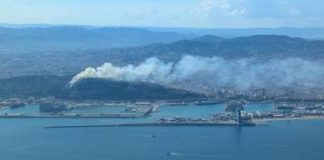 Un incendio de matorrales obliga a evacuar el Castillo de Montjuïc en Barcelona Un incendio de matorrales obliga a evacuar el Castillo de Montjuïc en Barcelona