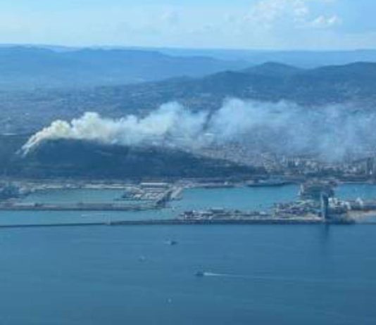 Un incendio de matorrales obliga a evacuar el Castillo de Montjuïc en Barcelona Un incendio de matorrales obliga a evacuar el Castillo de Montjuïc en Barcelona