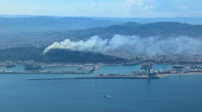 Un incendio de matorrales obliga a evacuar el Castillo de Montjuïc en Barcelona Un incendio de matorrales obliga a evacuar el Castillo de Montjuïc en Barcelona