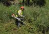 Activado el plan de mantenimiento forestal para prevenir incendios en Collserola Activado el plan de mantenimiento forestal para prevenir incendios en Collserola