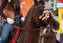 Barcelona abre la puerta a eliminar el uso de animales en los “Tres Tombs”