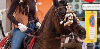 Barcelona abre la puerta a eliminar el uso de animales en los “Tres Tombs” Barcelona abre la puerta a eliminar el uso de animales en los Tres Tombs
