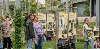 Barcelona celebra la Fiesta de la Primavera 2026 en Can Batlló Barcelona celebra la Fiesta de la Primavera 2026 en Can Batlló