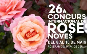 El Parc de Cervantes acoge el 26º Concurso Internacional de Roses Noves