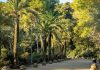 El Park Güell se renueva con más luz y mejoras de seguridad en sus recorridos El Park Güell se renueva con más luz y mejoras de seguridad en sus recorridos