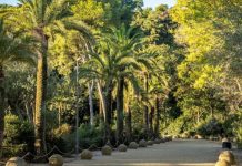 El Park Güell se renueva con más luz y mejoras de seguridad en sus recorridos El Park Güell se renueva con más luz y mejoras de seguridad en sus recorridos