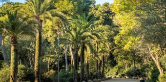 El Park Güell se renueva con más luz y mejoras de seguridad en sus recorridos El Park Güell se renueva con más luz y mejoras de seguridad en sus recorridos