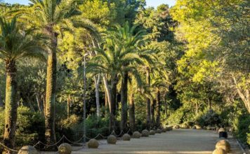 El Park Güell se renueva con más luz y mejoras de seguridad en sus recorridos El Park Güell se renueva con más luz y mejoras de seguridad en sus recorridos